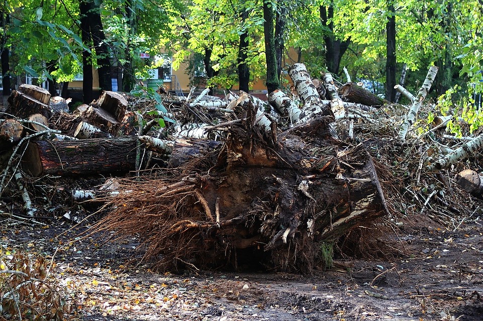 Ради новой станции метро сквер 1905 года в Нижнем Новгороде снова перекопают