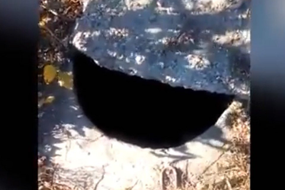 Тот самый люк