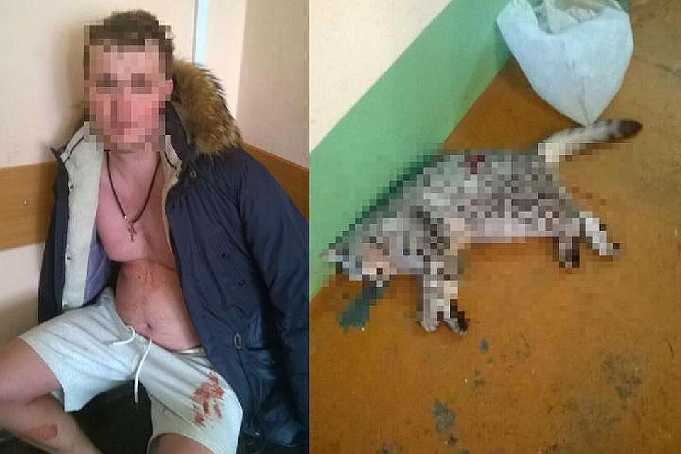 Фото: СУ СК России по Омской области