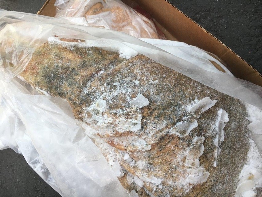 24 тонны такой свинины не пропустили в Петербург из Чили. Теперь она отправится обратно. Фото: Управление Россельхознадзора по Петербургу, Ленинградской и Псковской областям.