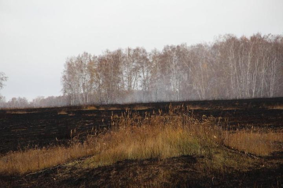 Крупный пожар произошел в Баевском районе Алтайского края Фото: "Голос хлебороба"