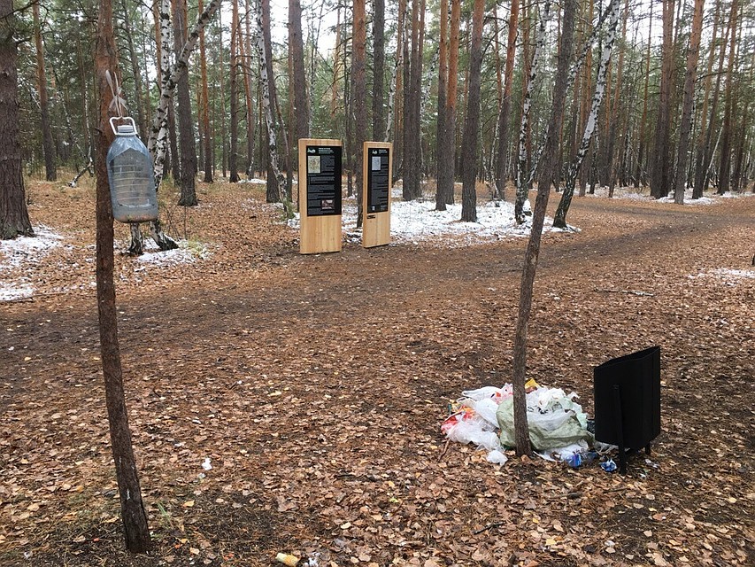 Фото: Светлана Овчинникова