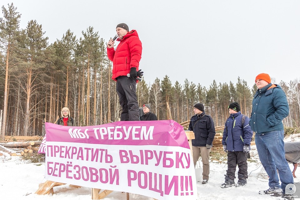 Сначала жители Академического добивались отменить вырубку рощи, а сейчас требуют построить новые школы и детские сады Фото: паблик Академического района во Вконтакте