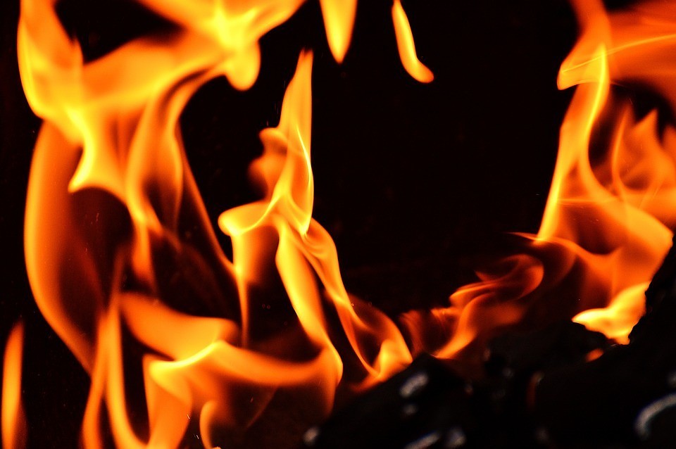 ФОТО: pixabay.com