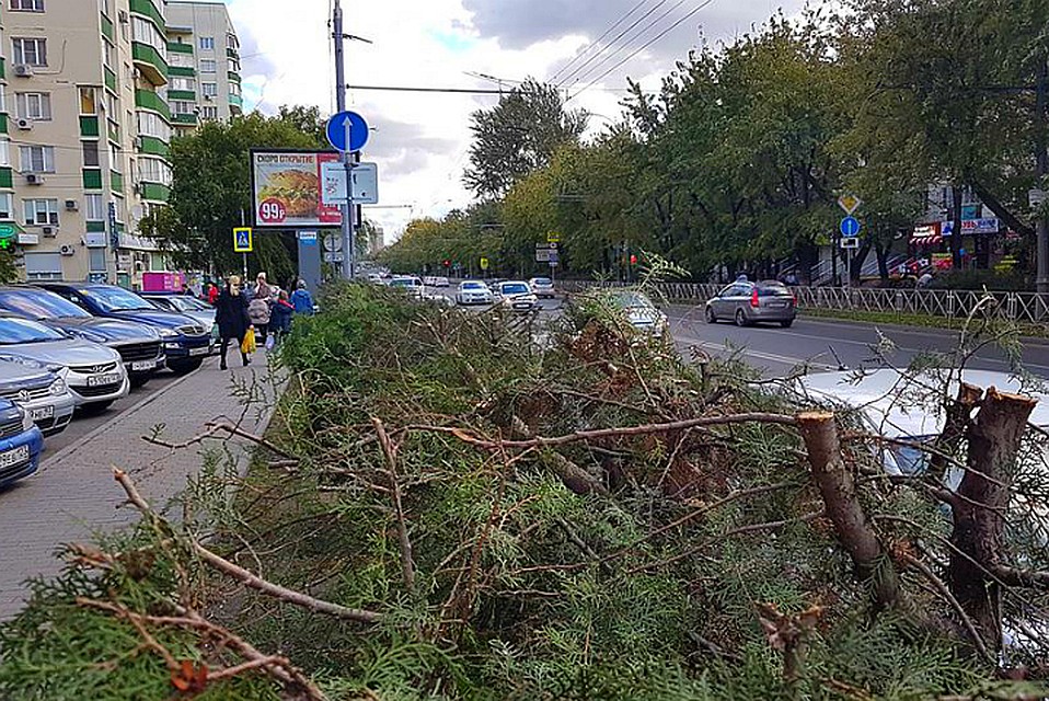 Фото: Сергей ДЕМИДОВ.