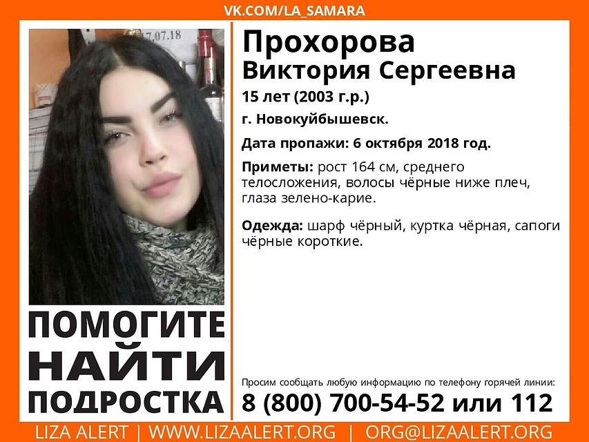 Фото: ДПСО "Лиза Алерт"
