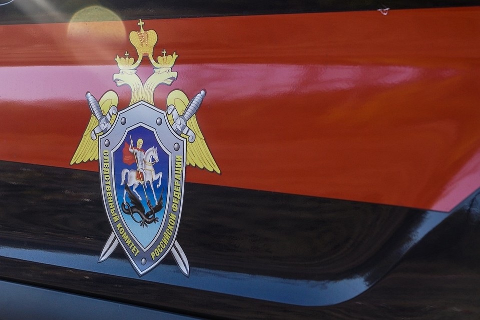 Активисты ОНФ и сотрудники ФАС намерены добиться возбуждения уголовного дела