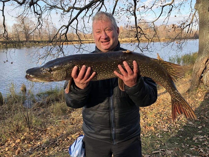 Андрей Цырулев