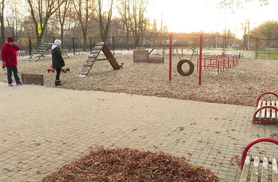 Песку животные, конечно, рады. Но урна на площадке не повредила бы… больно уж соблазнителен тот песок для собак. Фото: Кадр сюжета телеканала ТКР