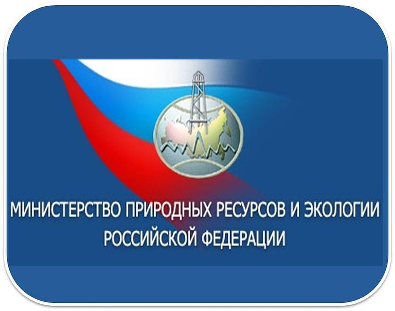 Источник: в Минприроде может появится новая должность - под Владимира Логинова.