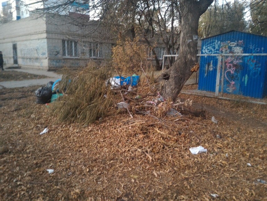 Фото свалки из соцсетей
