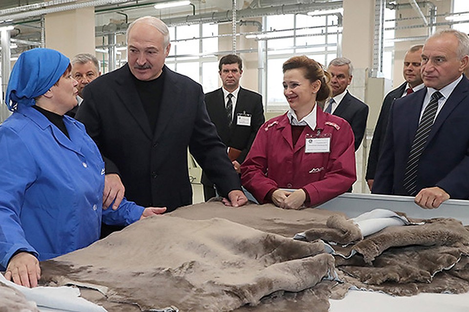 Александр Лукашенко приехал в Витебск на меховой комбинат. Фото: БелТА