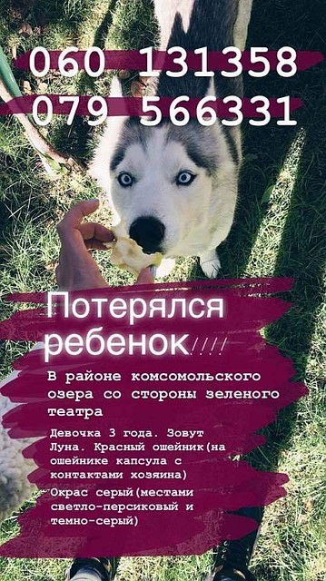 Фото: Фэйсбук