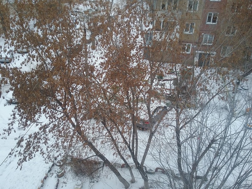 Пора доставать шубы и зимние пуховики