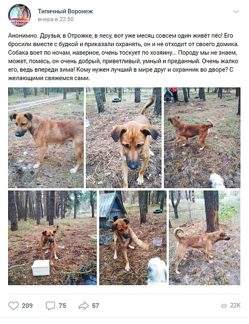Фото: скриншот соцсети.