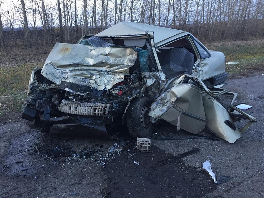 За выходные в области пострадали 19 человек