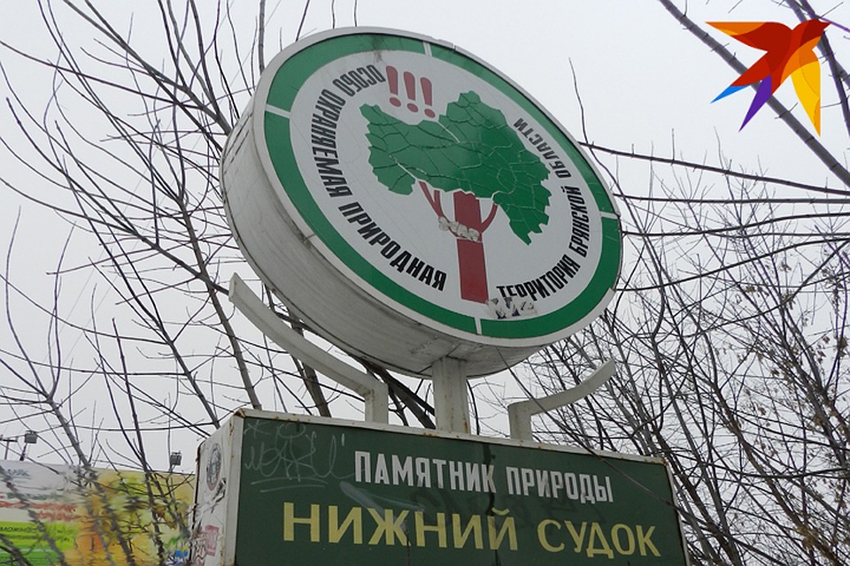 В Нижнем и Верхнем Судках свалки бытовых и строительных отходов.