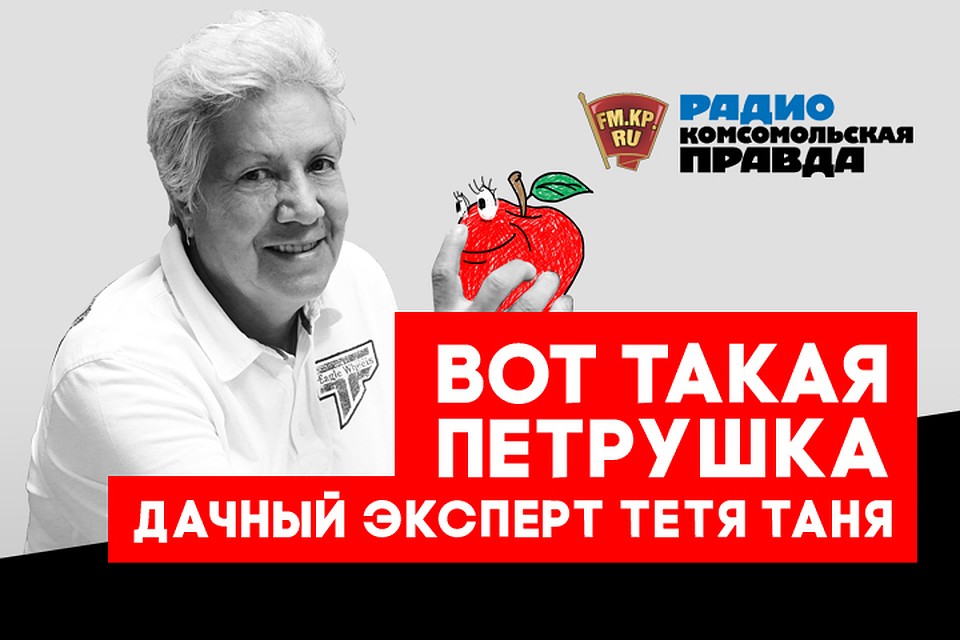 Как снег на голову: защищаем деревья, зима близко