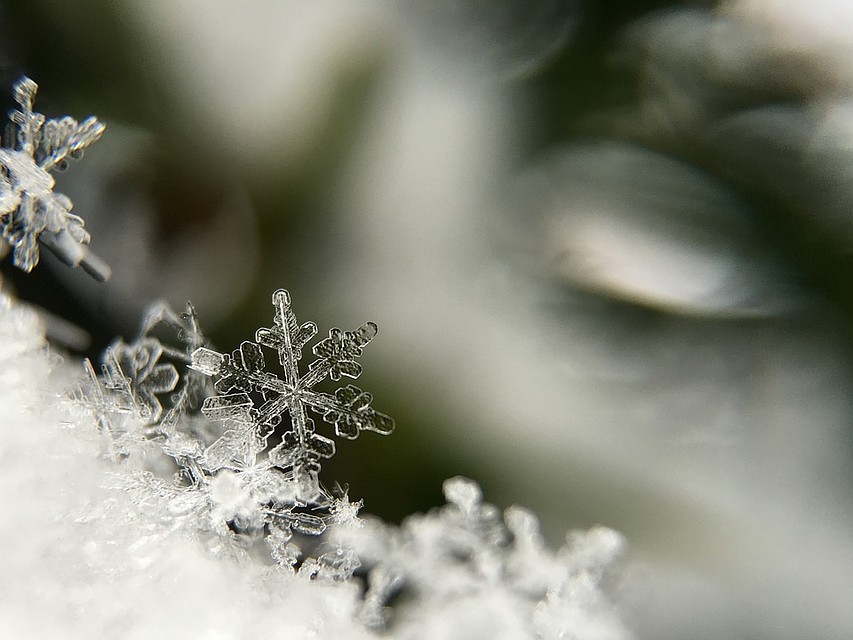 Фото: pixabay.com