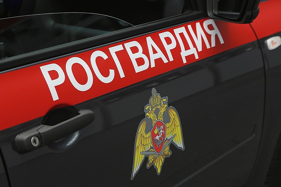 В Красноярском крае домушник так увлекся поиском добычи, что не заметил росгвардейцев