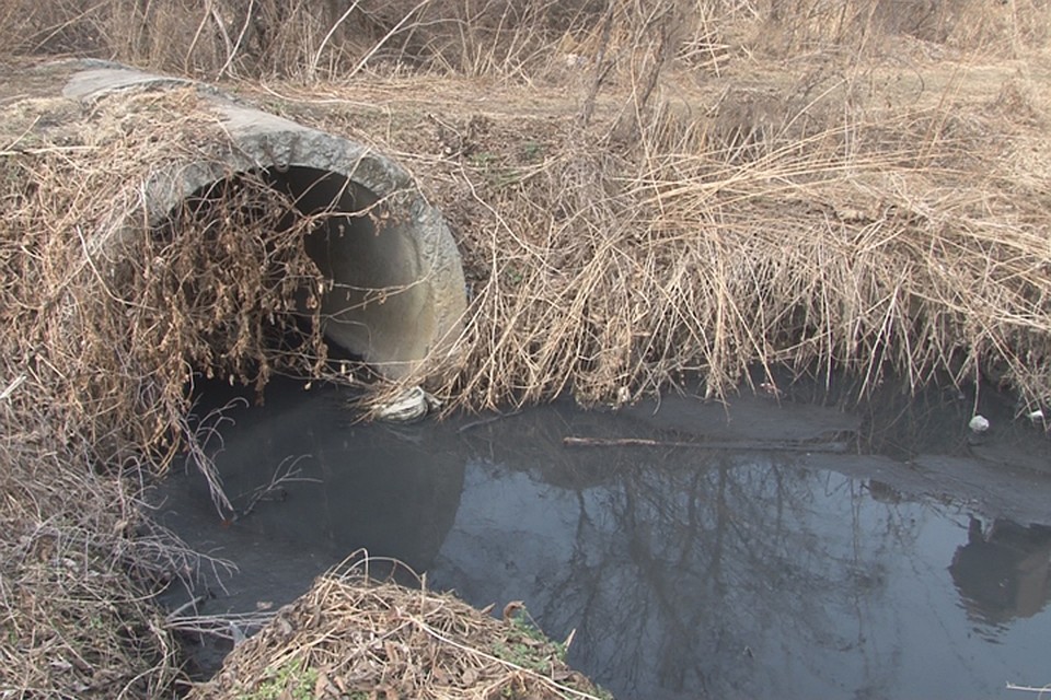 Грибную поляну в Колпино залило сточными водами из Большой Ижорки.