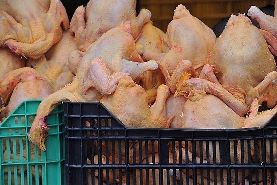Россия временно запретила транзит мяса птицы из США в Казахстан