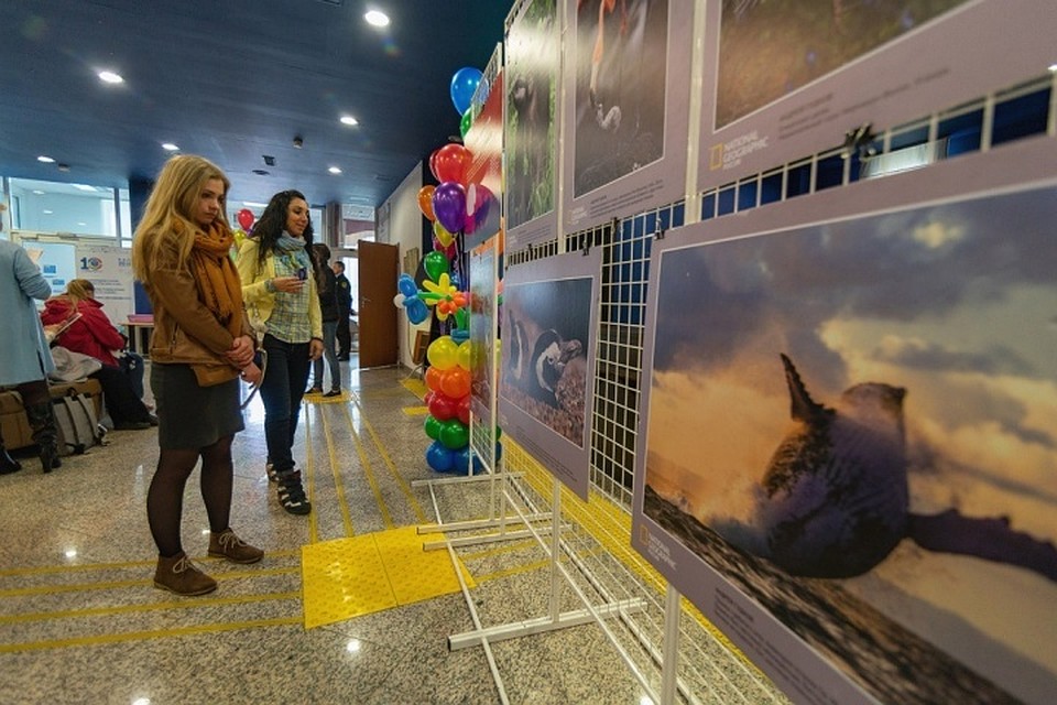 Фото с сайта "Спасти и Сохранить"