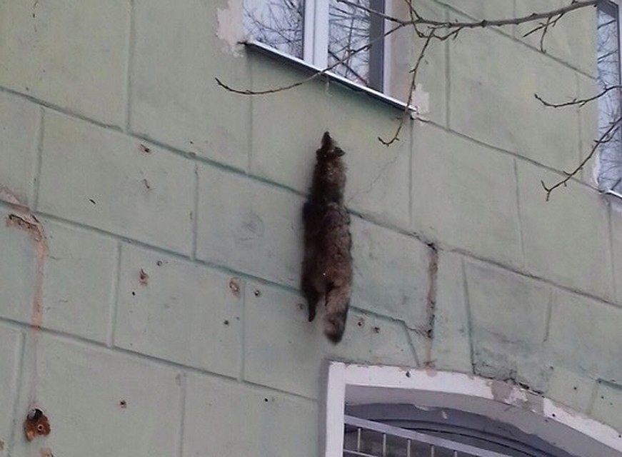 Фото: паблик "Подслушано Каменск-Уральский" во Вконтакте