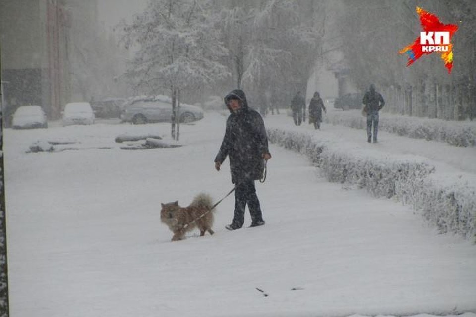 Днем - 6-8 градусов ниже нуля.