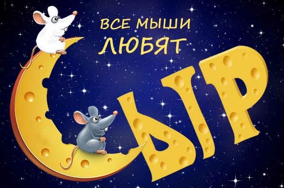 Белгород: куда сводить ребенка в дни новогодних праздников.