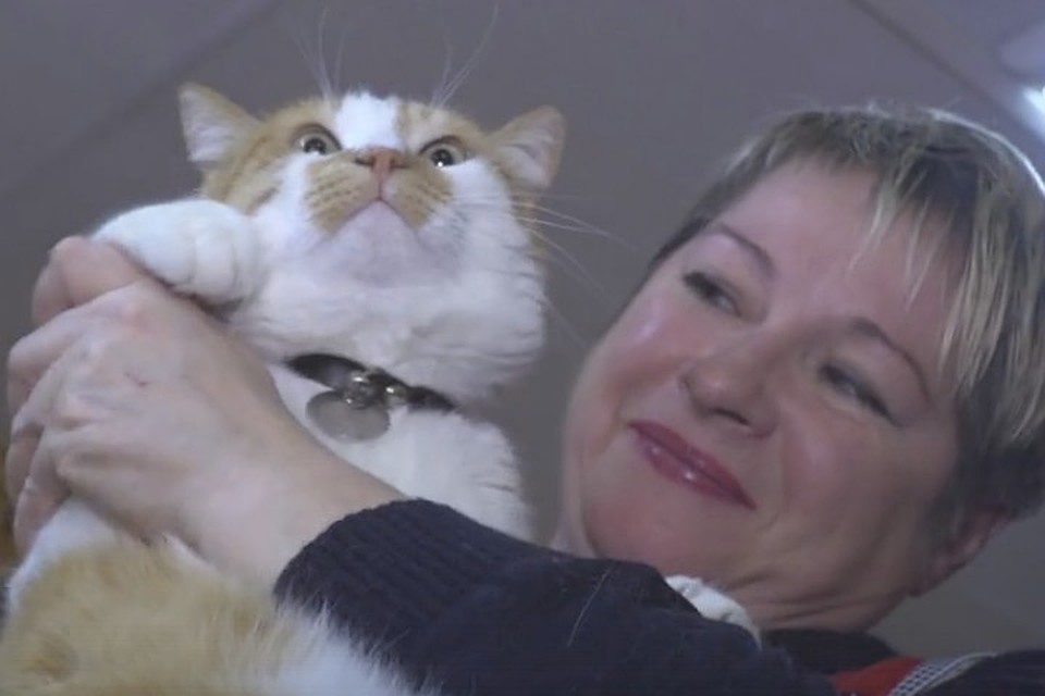 Фото: скриншот из видео
