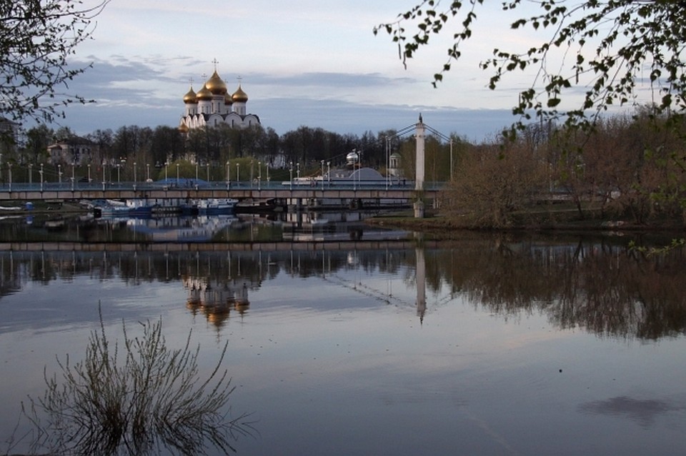 Химические вещества могли попасть в Которосль.