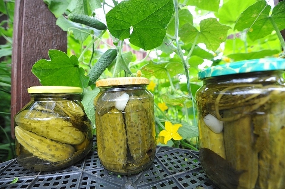 На Кубани злоумышленники украли 10 банок закаток