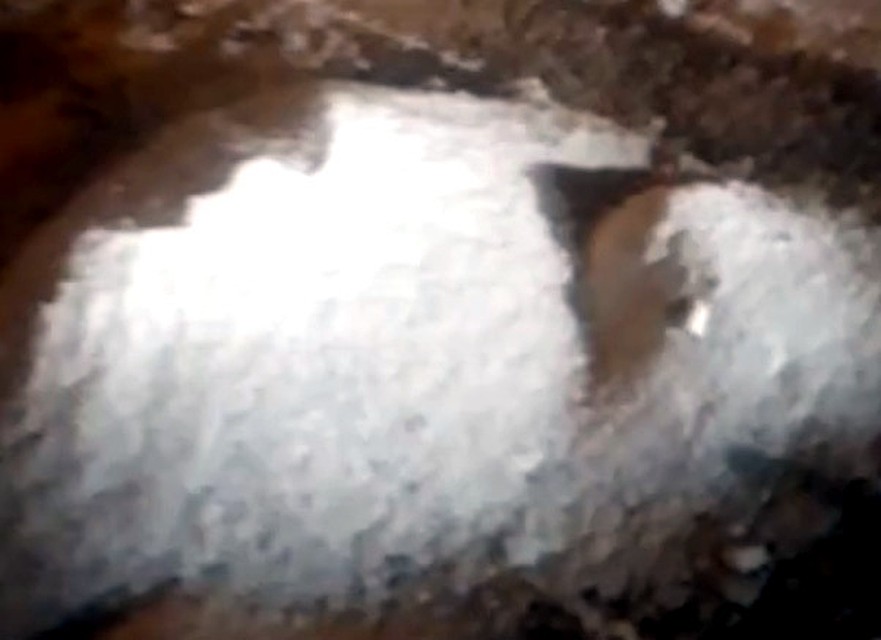Фото: кадр из видео, соцсети
