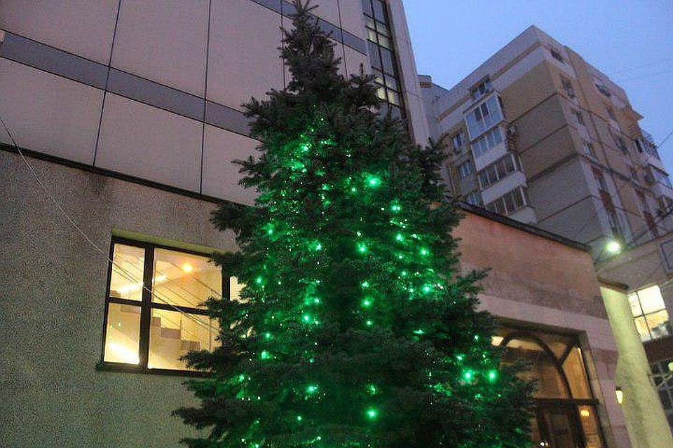 В Саратове готовятся к открытию елочные базары