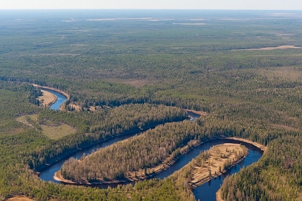 В Коми теперь работают и граждане Молдовы (Фото: navahte-rf.ru).