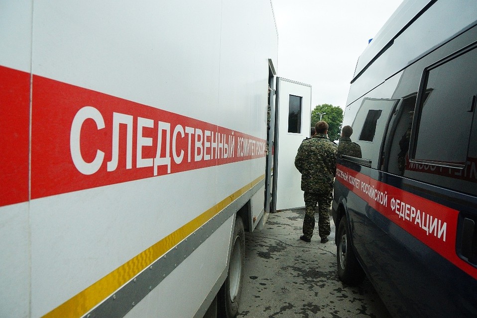Следственный комитет проводит проверку и выясняет причины смерти ребенка.