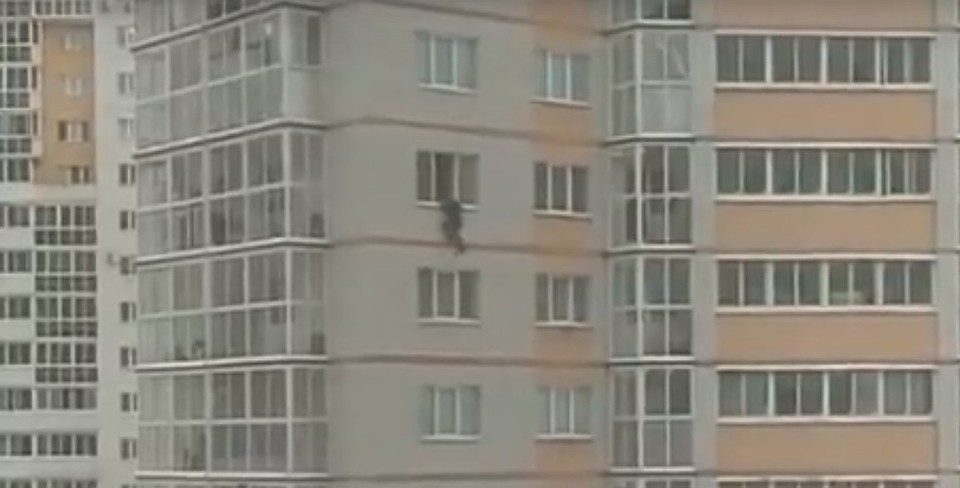 Фото: скриншот из видео.