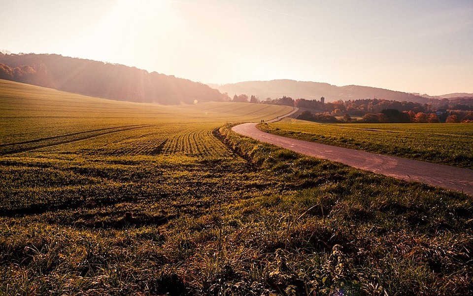 Фото: Pixabay.com