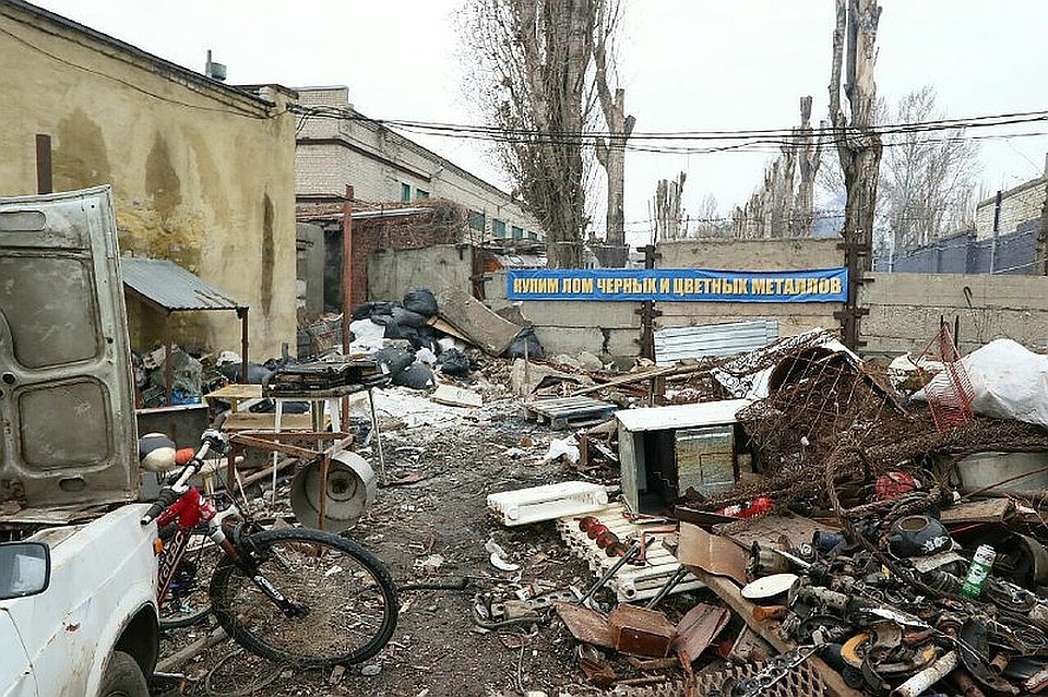 Фото: Михаил ЕГОРОВ
