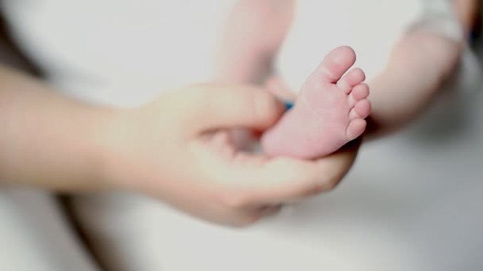 Фото: из открытых источников