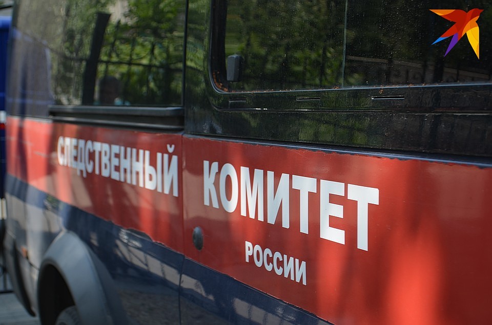 По результатам проверки будет принято процессуальное решение