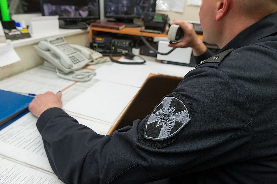 В Великих Луках сотрудники Росгвардии задержали подозреваемого в причинении телесных повреждений.