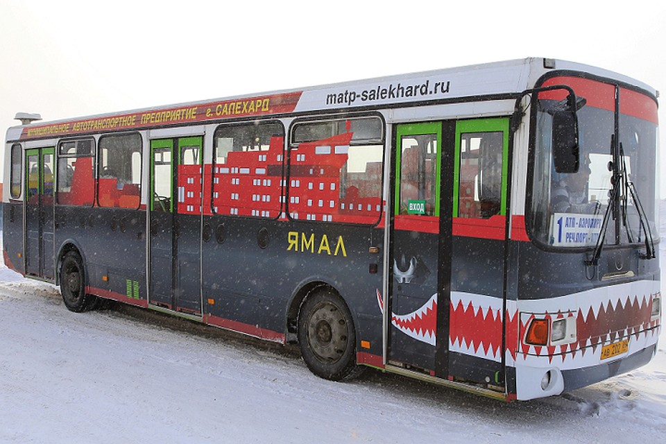 На Ямале вышли на маршруты 12 новых автобусов Фото: правительство ЯНАО