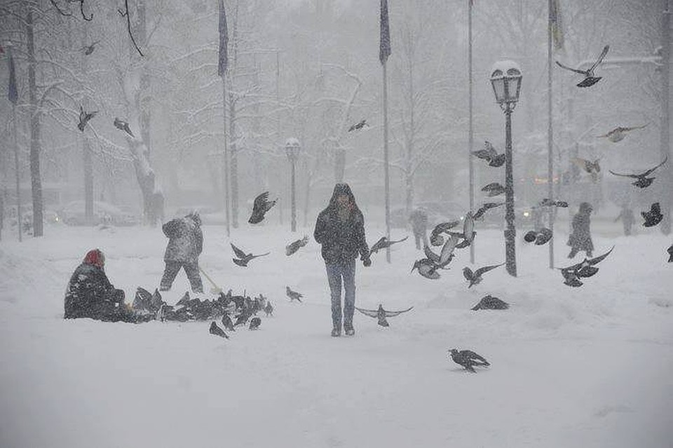 Фото: Андрей Мардарь