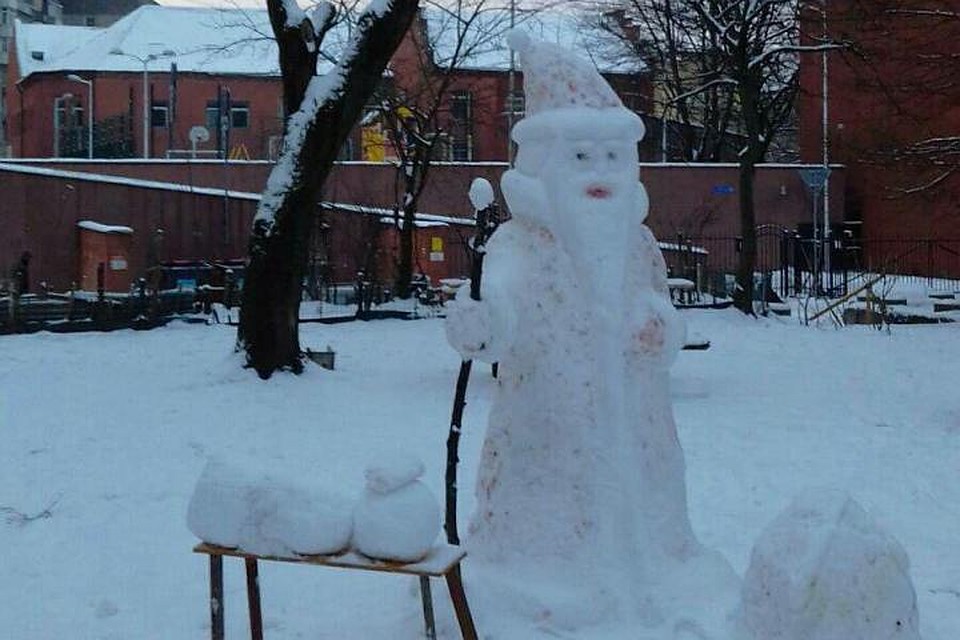 Фото Елены Дмитриевой.