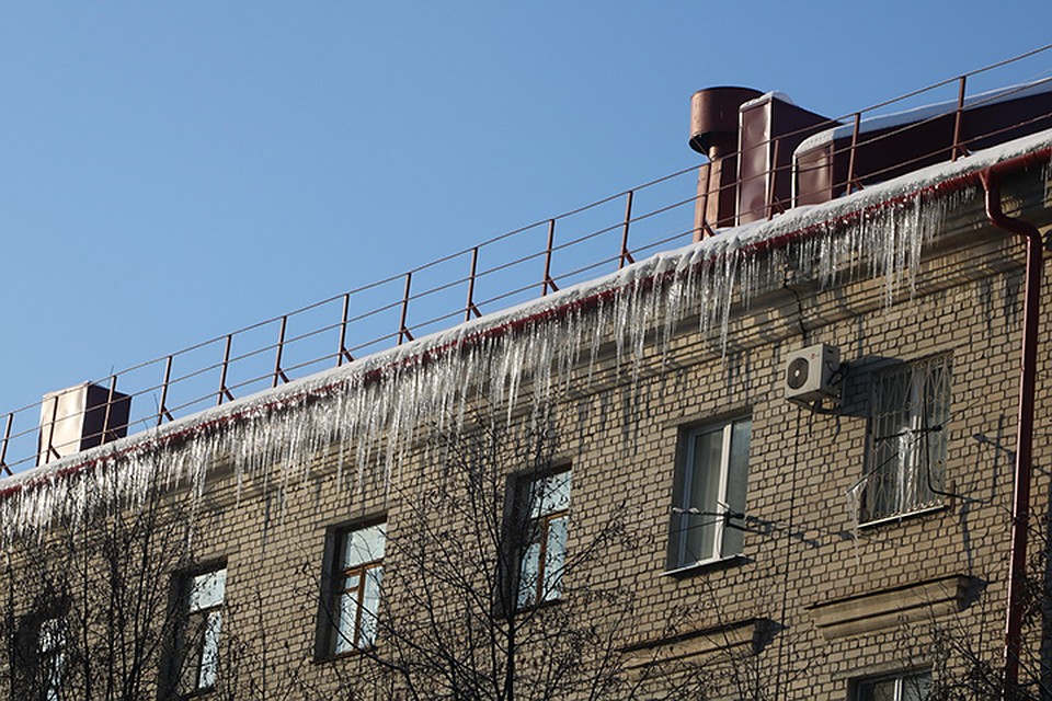 Фото: пресс-служба Брянской городской администрации.