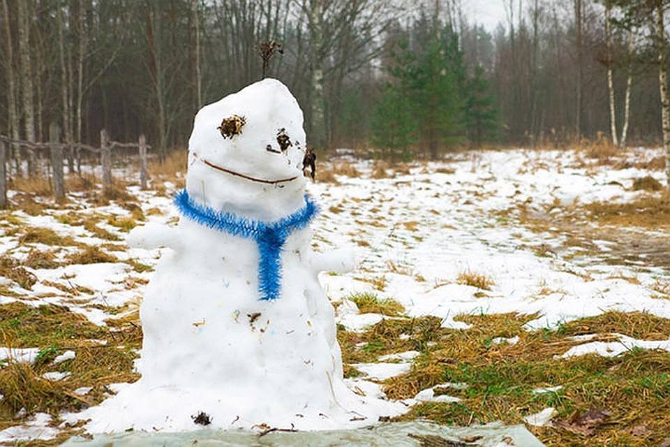 Похоже, уважаемые друзья, снегопада в январе уже не будет. Ну и ладно.
