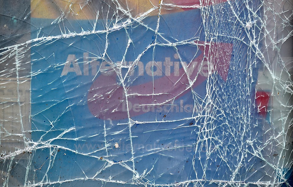 Партия «Альтернатива для Германии» оказалась под прицелом немецких спецслужб