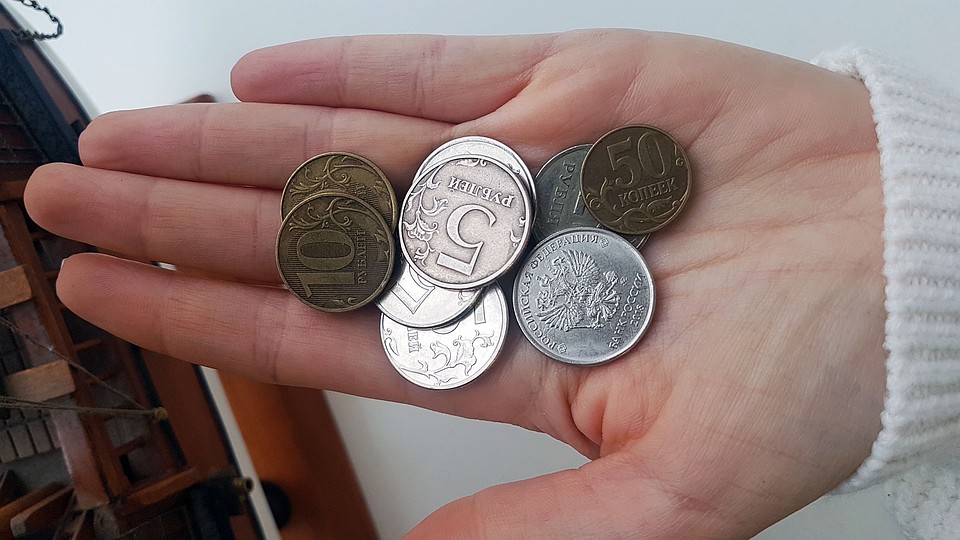 47,5 рубля - мера поддержки многодетной семьи